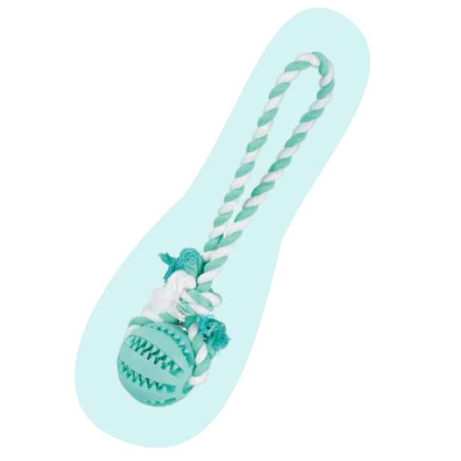 М’яч для зубів з канатом Denta Fun Mintfresh Trixie - купити онлайн від українського виробника Practik, фото 4