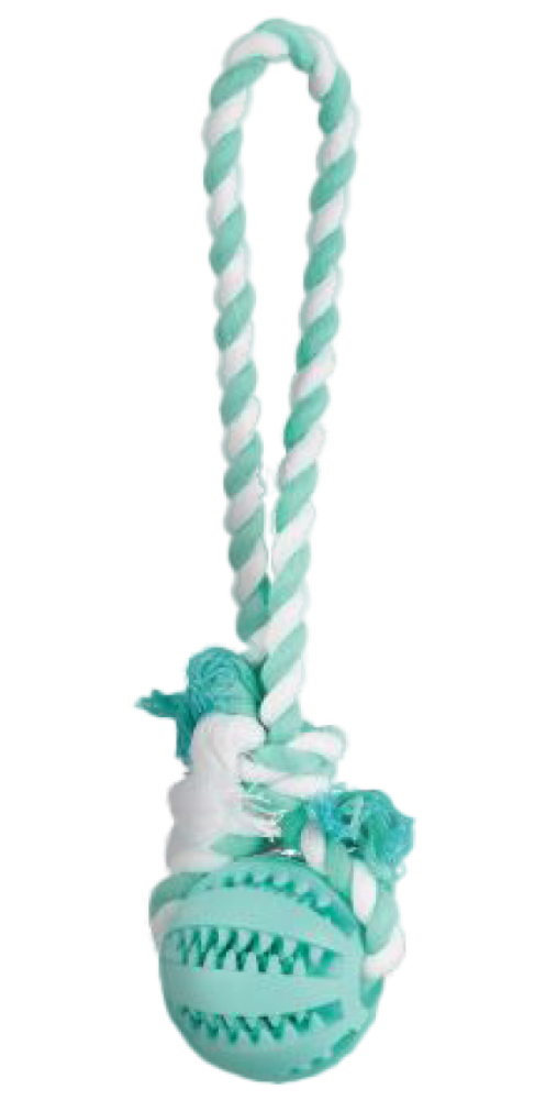 М’яч для зубів з канатом Denta Fun Mintfresh Trixie - купити онлайн від українського виробника Practik, фото 1